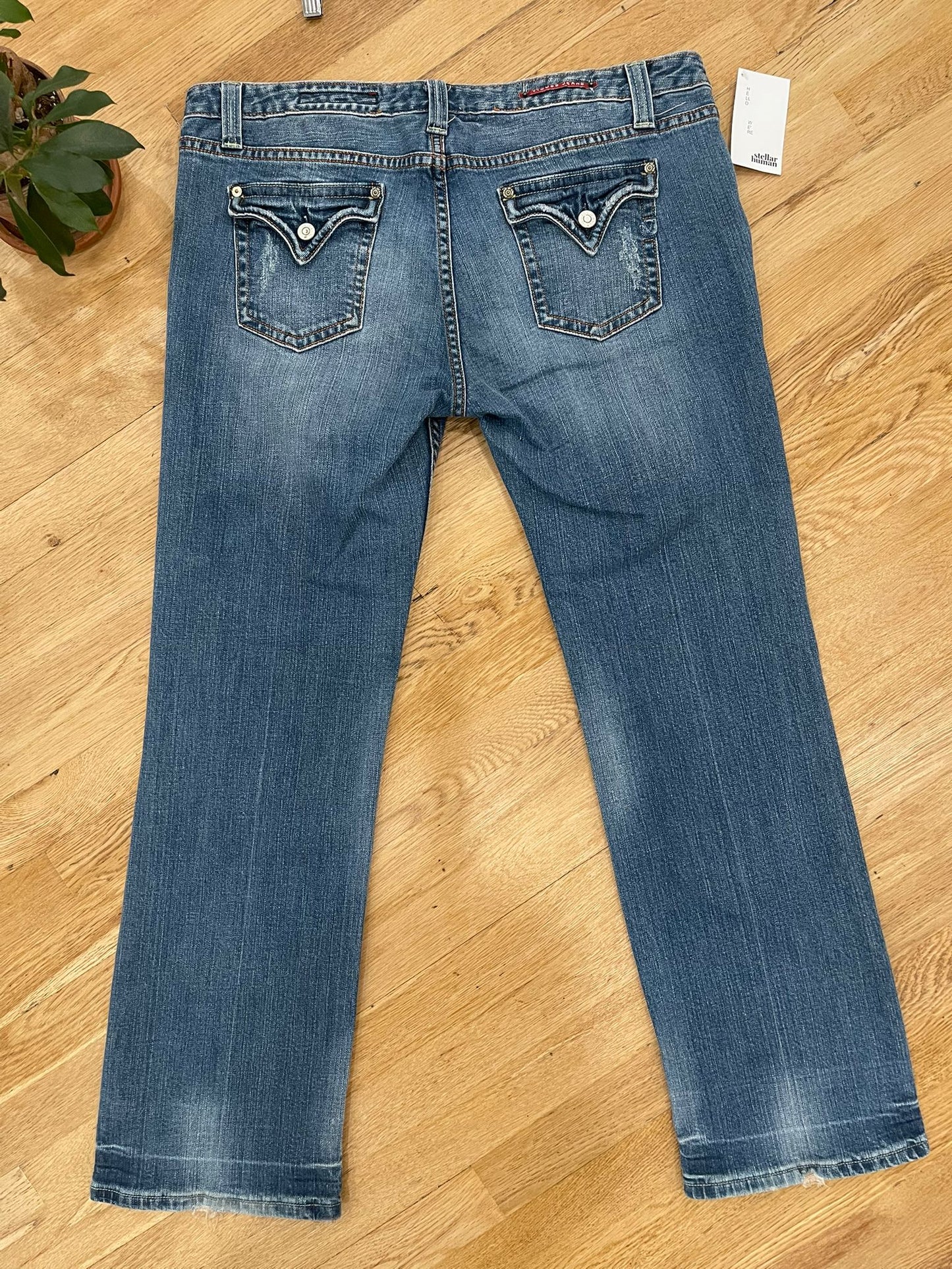 Y2K Vigoss Jeans