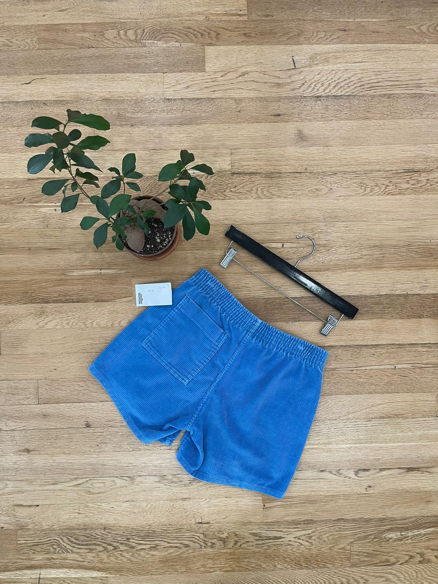 OP Corduroy Shorts