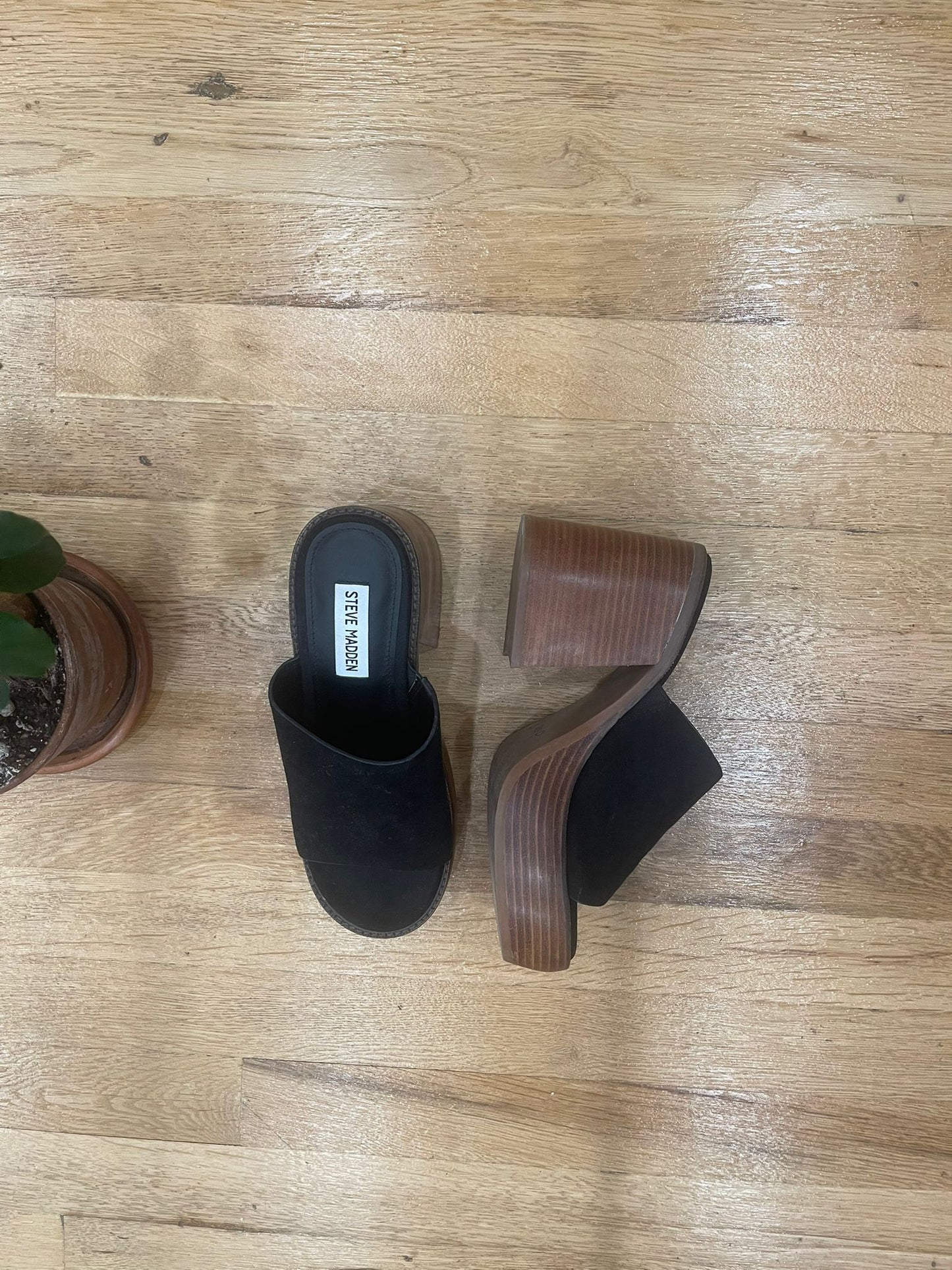 Steve Madden Wedges